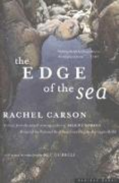 Bild von The Edge of the Sea (eBook)