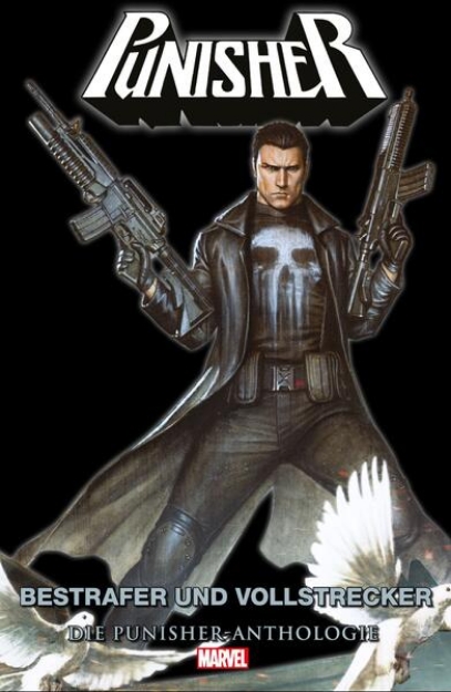 Bild von Punisher Anthologie