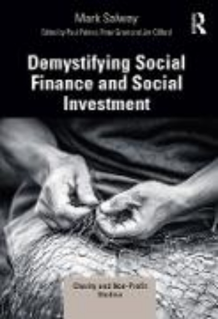 Bild von Demystifying Social Finance and Social Investment (eBook)