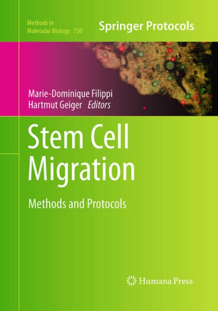 Bild von Stem Cell Migration