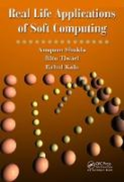 Bild von Real Life Applications of Soft Computing (eBook)