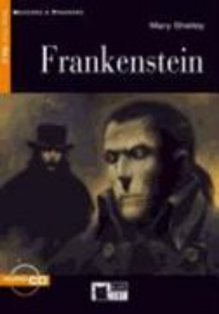 Bild von Frankenstein