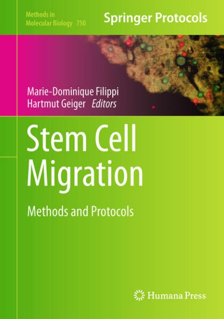 Bild von Stem Cell Migration (eBook)