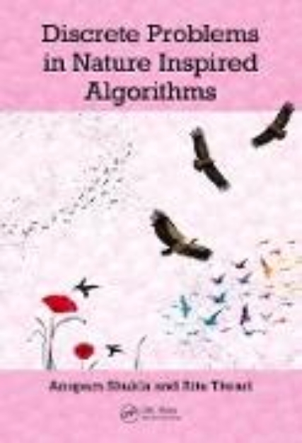 Bild von Discrete Problems in Nature Inspired Algorithms (eBook)